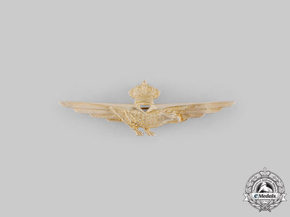 italy,_kingdom._a_royal_italian_air_force_pilot's_badge_with_case,_c.1930_ci19_4811_2_1