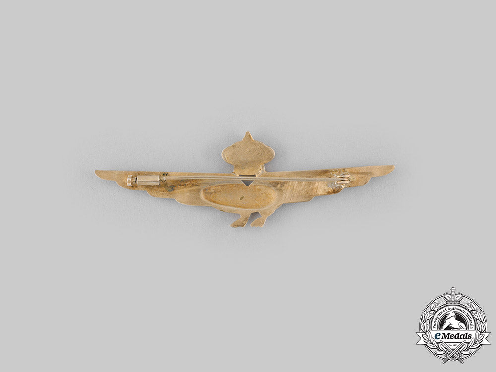 italy,_kingdom._a_royal_italian_air_force_pilot's_badge_with_case,_c.1930_ci19_4812_2_1