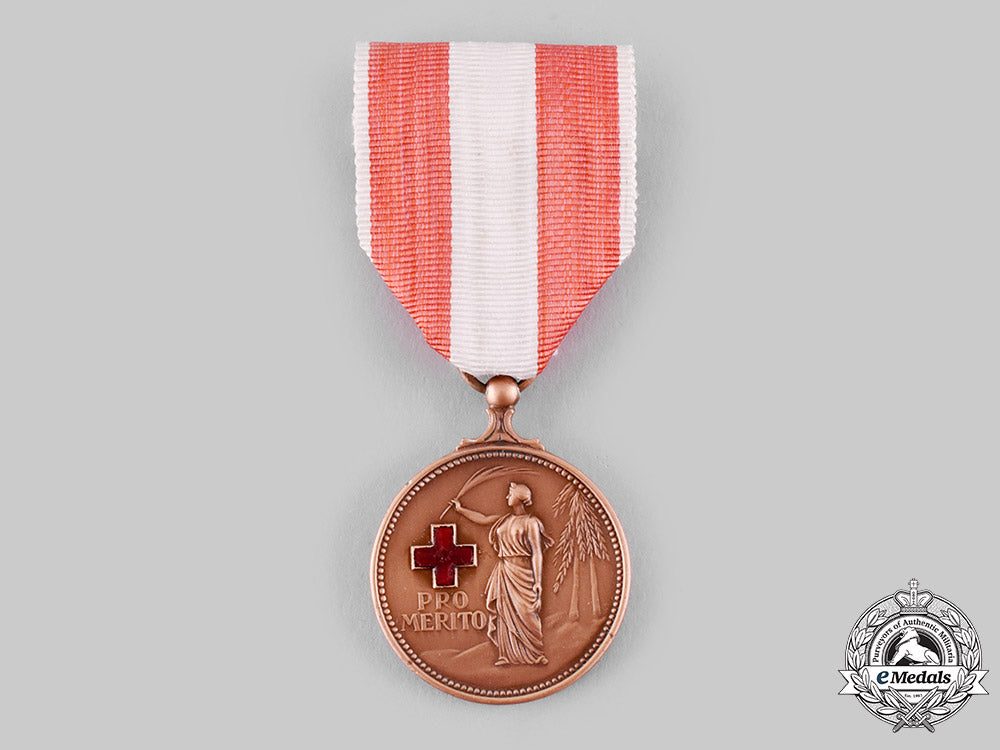 netherlands,_kingdom._a_medal_of_merit_of_the_dutch_red_cross,_ii_class_bronze_grade,_c.1945_ci19_7069_1