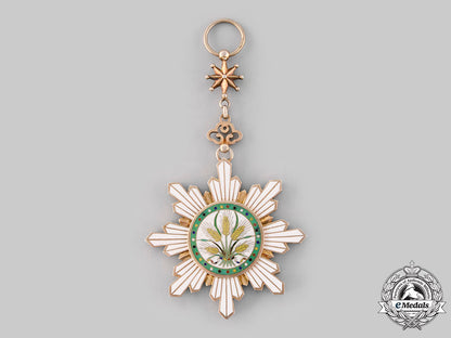 china,_republic._an_order_of_the_golden_grain,_i_class_grand_cross,_c.1925_ci19_8013_1_1_1_1