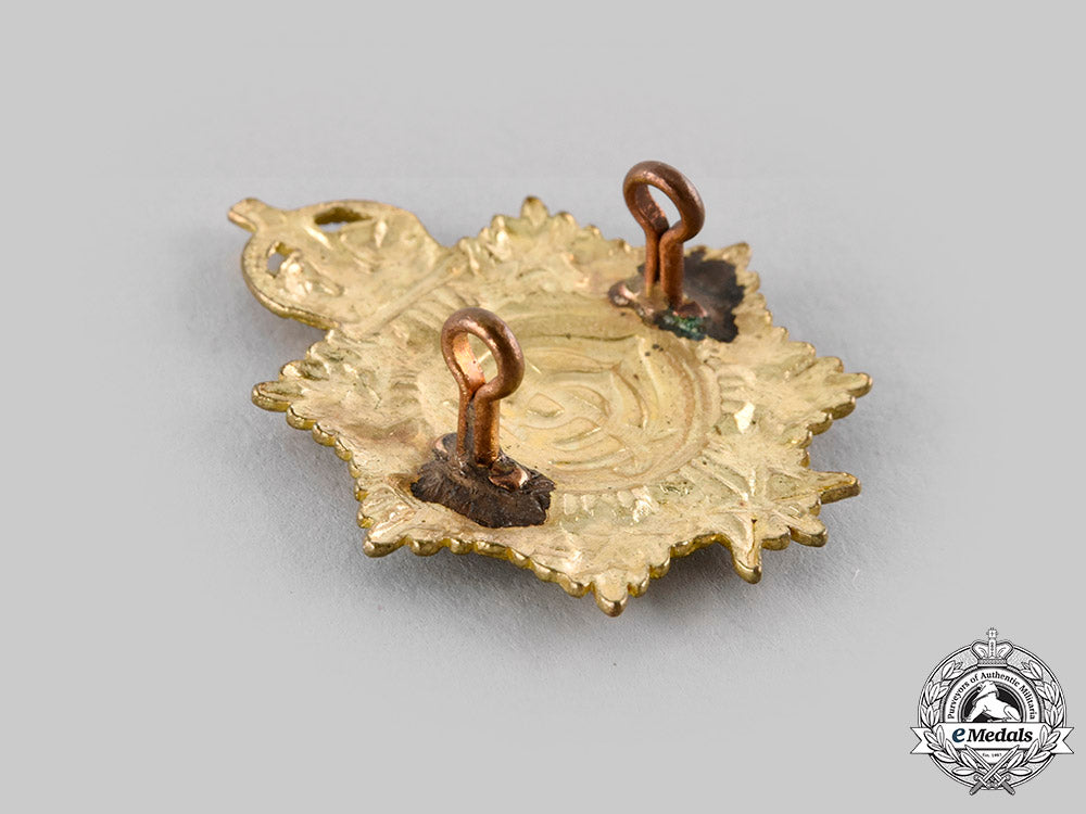 canada._a_lot_of_canadian_cap_badges(_post1945_manufactured)_ci19_8432_1