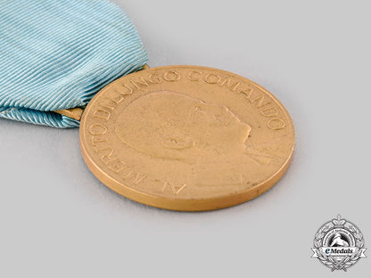 italy,_kingdom._an_army_long_command_merit_medal,_i_class_gold_grade_ci19_8670_1