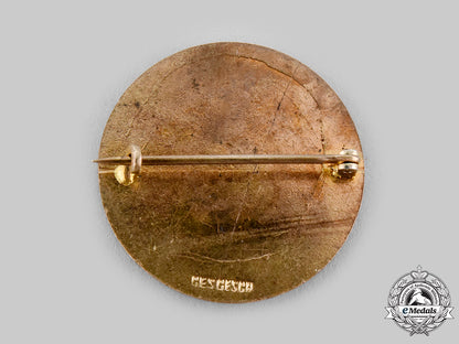 austria,_empire._a_dardanelles_veteran's_commemorative_badge1914-1915_ci19_9209