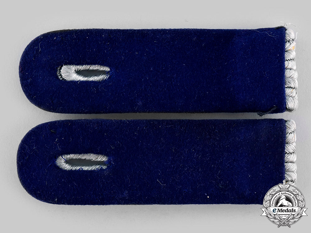 germany,_heer._a_set_of_medical_leutnant_shoulder_boards_ci19_9500_1