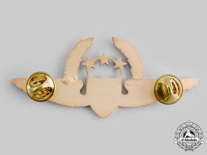 colombia._republic._an_air_force_pilot_badge_with_three_stars_and_wreath(_general_officer)_ci19_9823