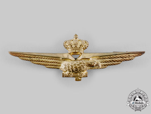 italy,_kingdom._a_royal_italian_air_force_pilot_badge,_c.1941_ci19_9844