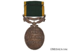 Efficiency Medal