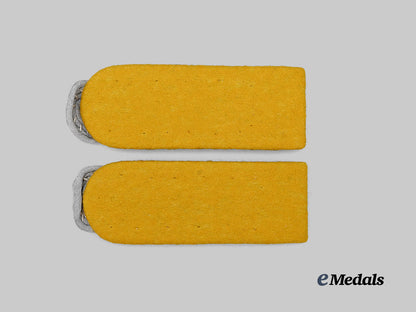 germany,_heer._a_set_of_cavalry/_armoured_reconnaissance_major_shoulder_boards_e_medals__g62868_3