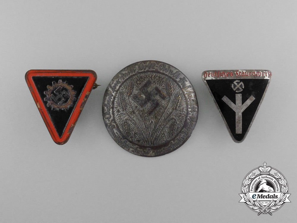 a_lot_of_three_third_reich_period_civilian_organization_membership_badges_d_0176_1