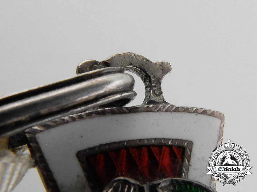 an_austrian_red_cross_honour_decoration_in_case_d_0211_1