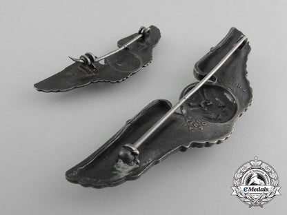 a_set_of_second_war_army_air_force_air_crew_badges;_fullsize_and_reduced_size_d_0329