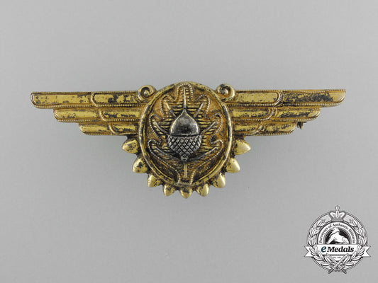 a_united_states_navy_flight_surgeon_wings_by_vanguard_n.y._d_0899