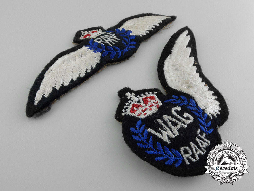 two_royal_australian_air_force(_raaf)_wings_d_0912