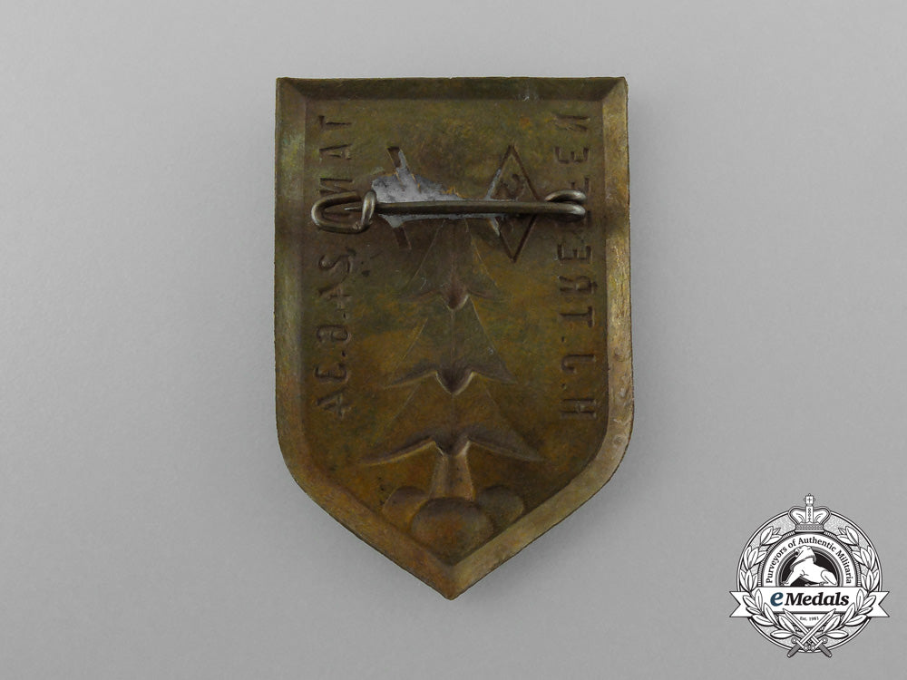 a1934_hj/_dj_district_tann_rally_badge_d_1260_1