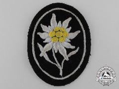 An Ss-Gebirgstruppen Sleeve Edelweiss