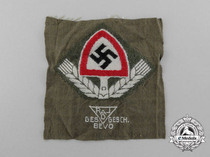 a_mint_bevo_reichsarbeitsdienst_cap_badge_d_1994_1