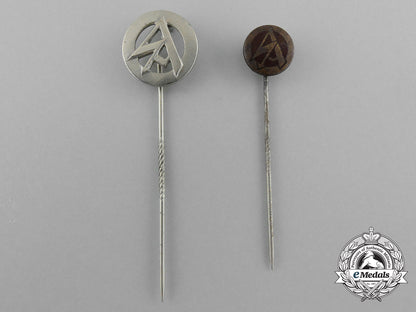 a_lot_of_two_sa_stick_pins_d_2957_1
