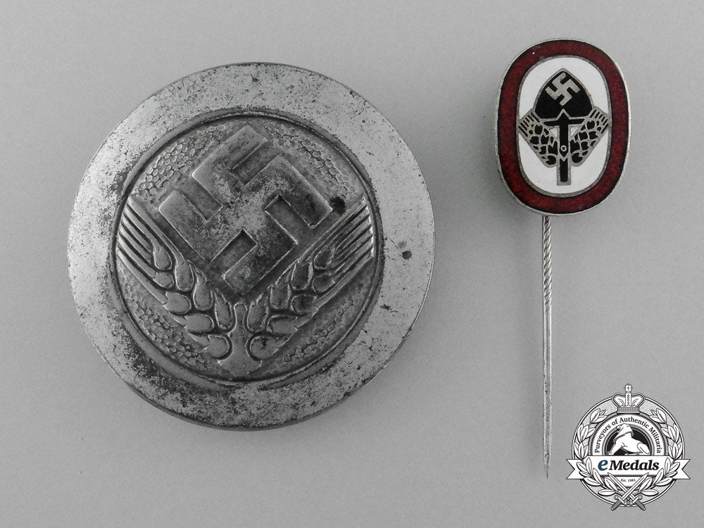 two_german_labour_service_badges_d_3186_1