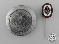 Two German Labour Service Badges