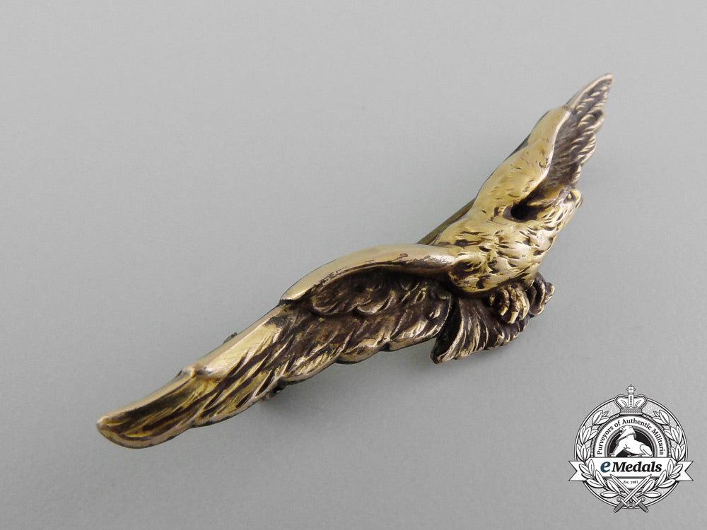 a_first_war_french_pilot's_eagle_badge_by_fix_d_3204