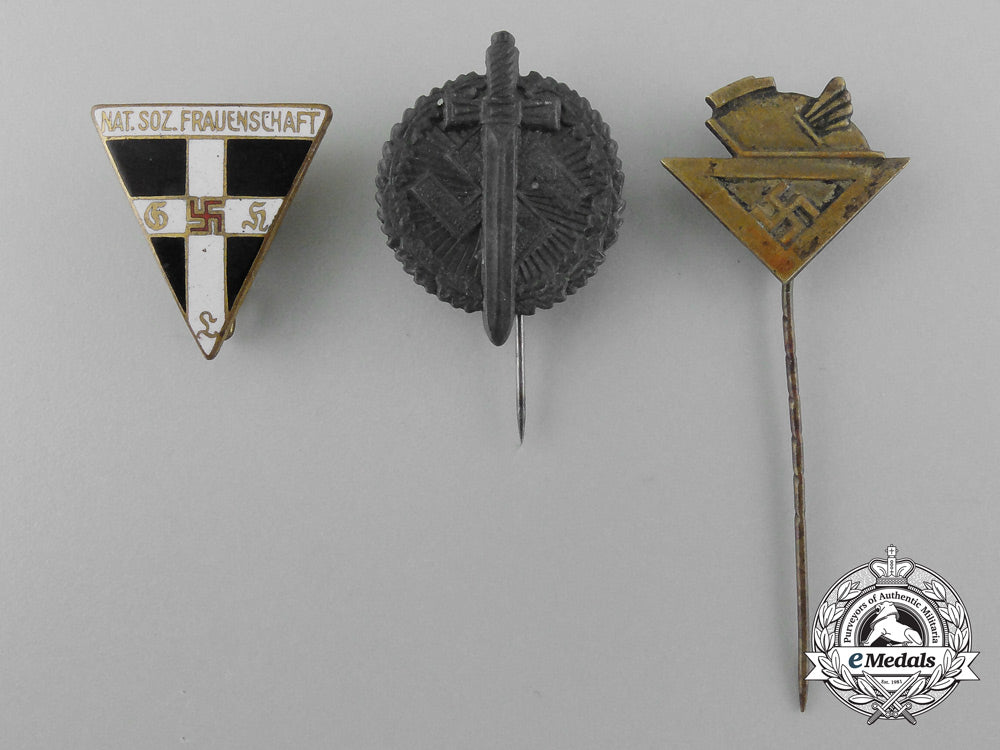 a_lot_of_three_third_reich_period_german_stick_pins_and_badges_d_3614_1