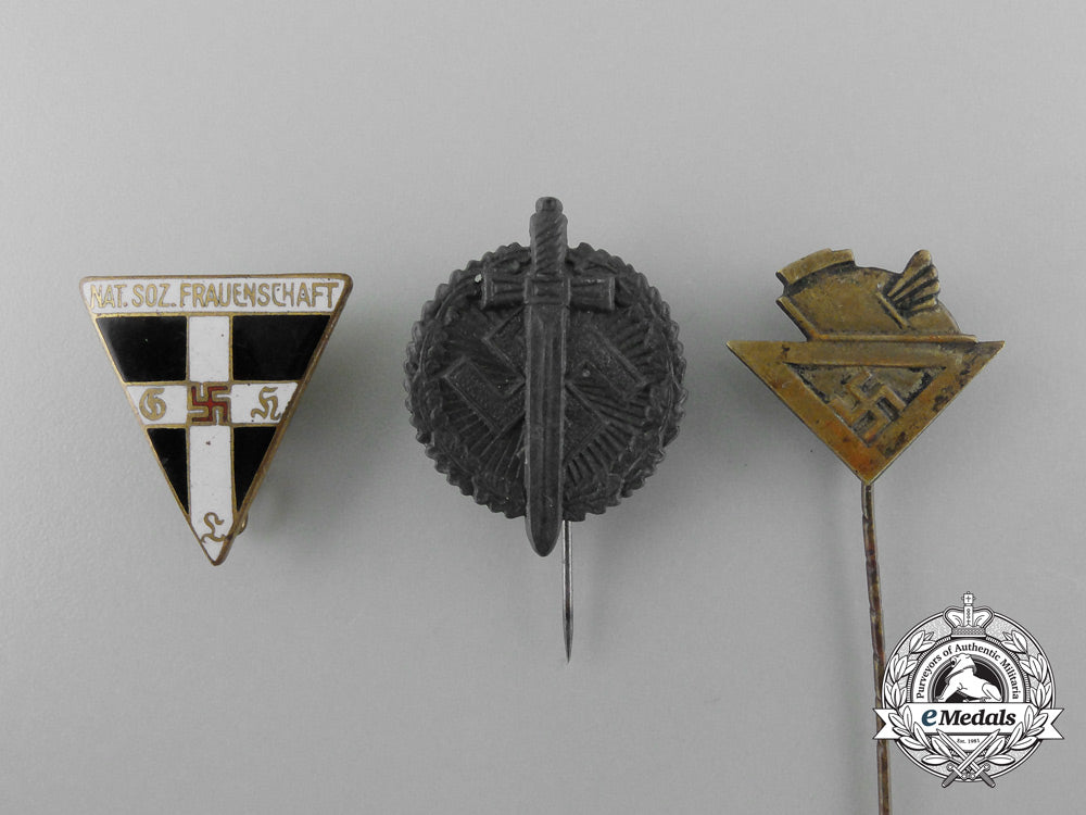 a_lot_of_three_third_reich_period_german_stick_pins_and_badges_d_3615_1