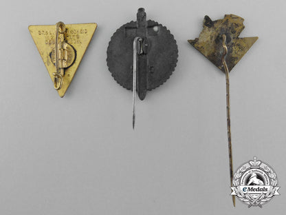 a_lot_of_three_third_reich_period_german_stick_pins_and_badges_d_3617_1