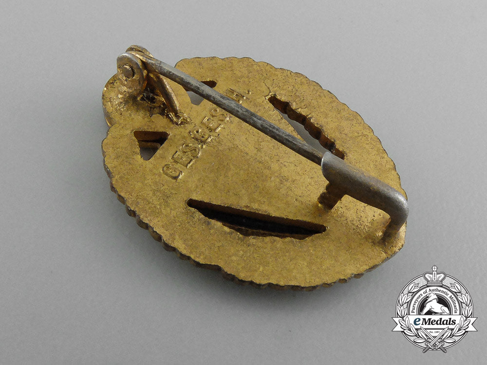 a50_year_veteran's_membership_badge_d_4269