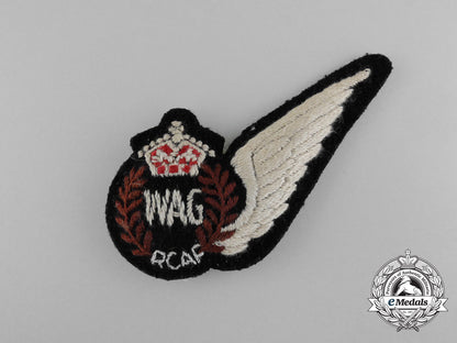 a_royal_canadian_air_force(_rcaf)_wireless/_air_gunner(_wag)_wing_d_4677