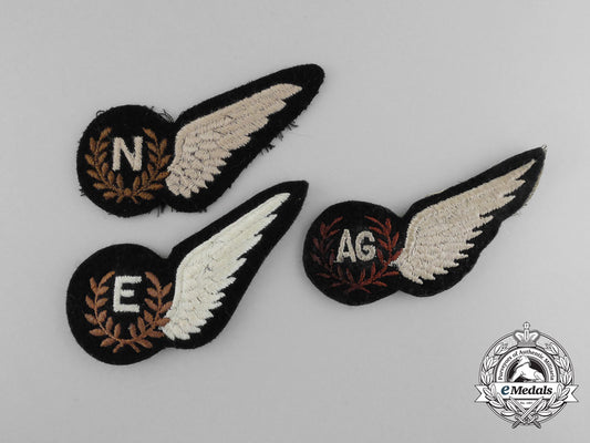 three_second_war_air_force_wings_d_4679