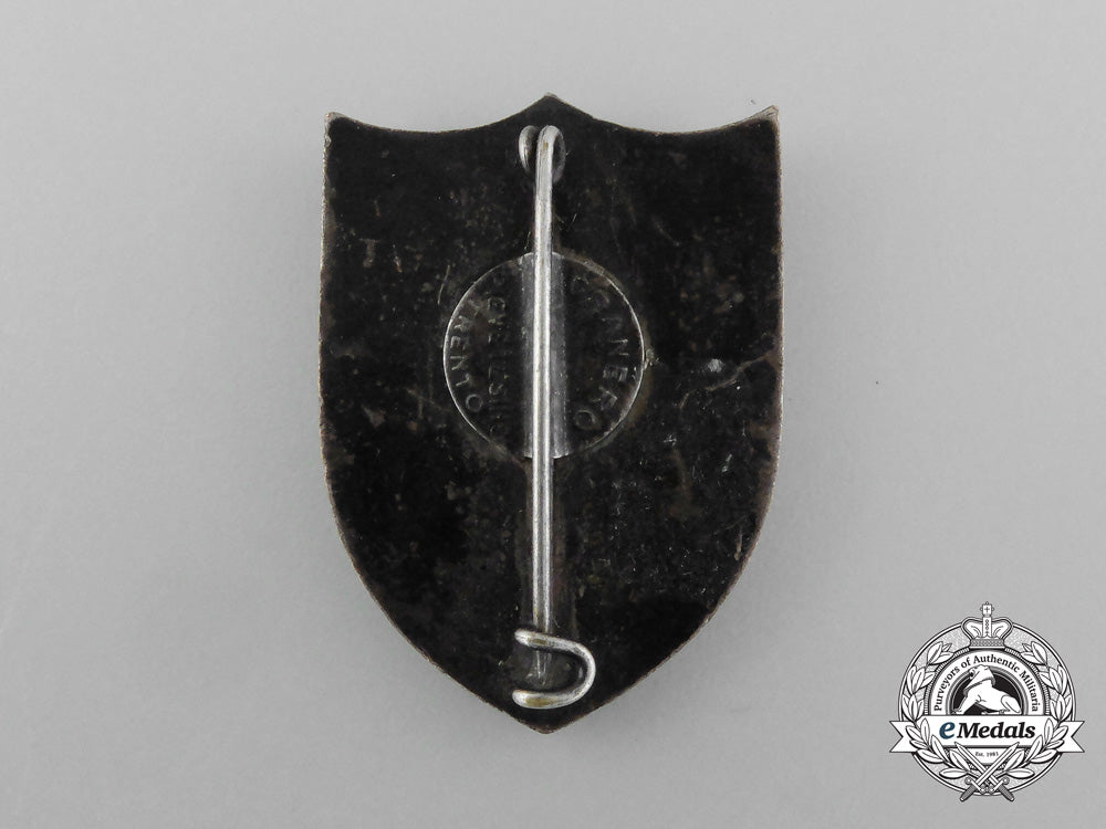 a_second_war_carnia_troops_command(_truppe_carnia)_badge_d_5064_1