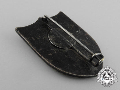 a_second_war_carnia_troops_command(_truppe_carnia)_badge_d_5065_1