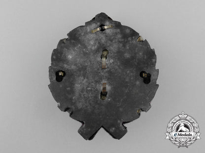 a_croatian_army_and_police_officer's_cap_badge_d_5073_1