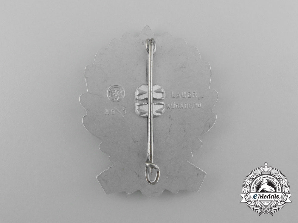a1938_sa_group_hochland_competition_festival_badge_by_christian_lauer_d_6285