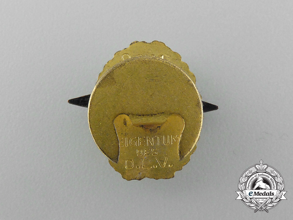 a_miniature_dlv_supporters_button-_back_badge_d_6566_2