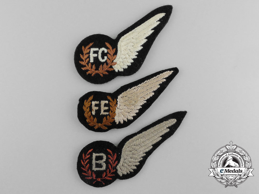 a_lot_of_three_royal_air_force_wings_d_6827