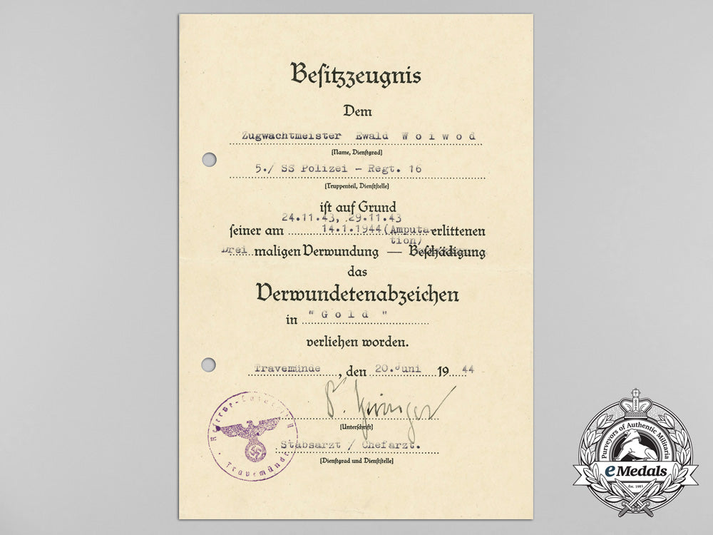 germany,_ss._a_fine_document_group_to_the5_th_ss_polizei,_regiment16_d_6950_2_1_1_1