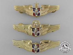 A Lot Of Three Air Force Of The Dominican Republic Pilot Badges