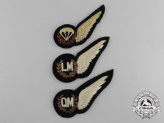 A Set Of Three Royal Air Force Wings