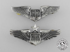 Two American Navigator/Combat Systems Officer/Observer Wings