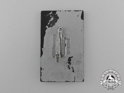 a1938_nsdap_kreis_appell_and_inauguration_of_the_borderlands_memorial_badge_d_8409