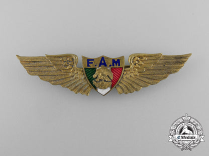 a_mexican_pilot's_badge_d_8982_1