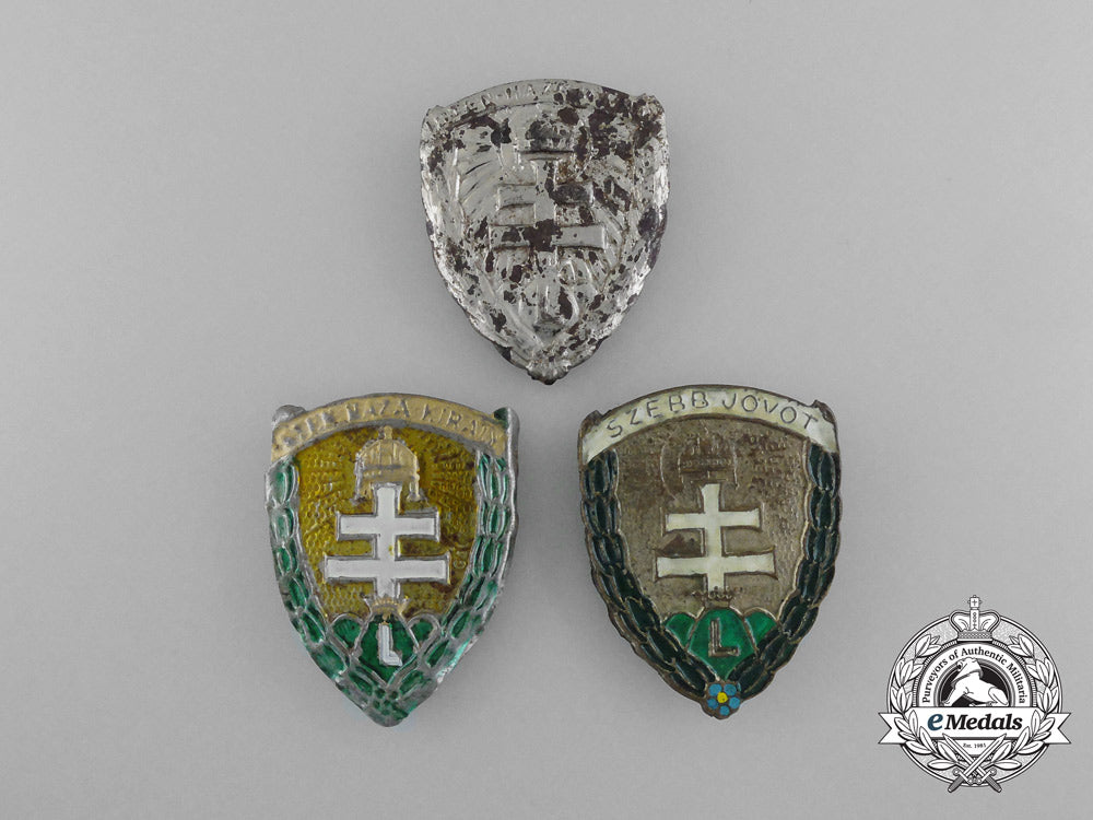 three_second_war_period_hungarian_levente_badges_d_9647