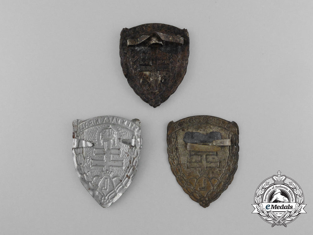 three_second_war_period_hungarian_levente_badges_d_9648