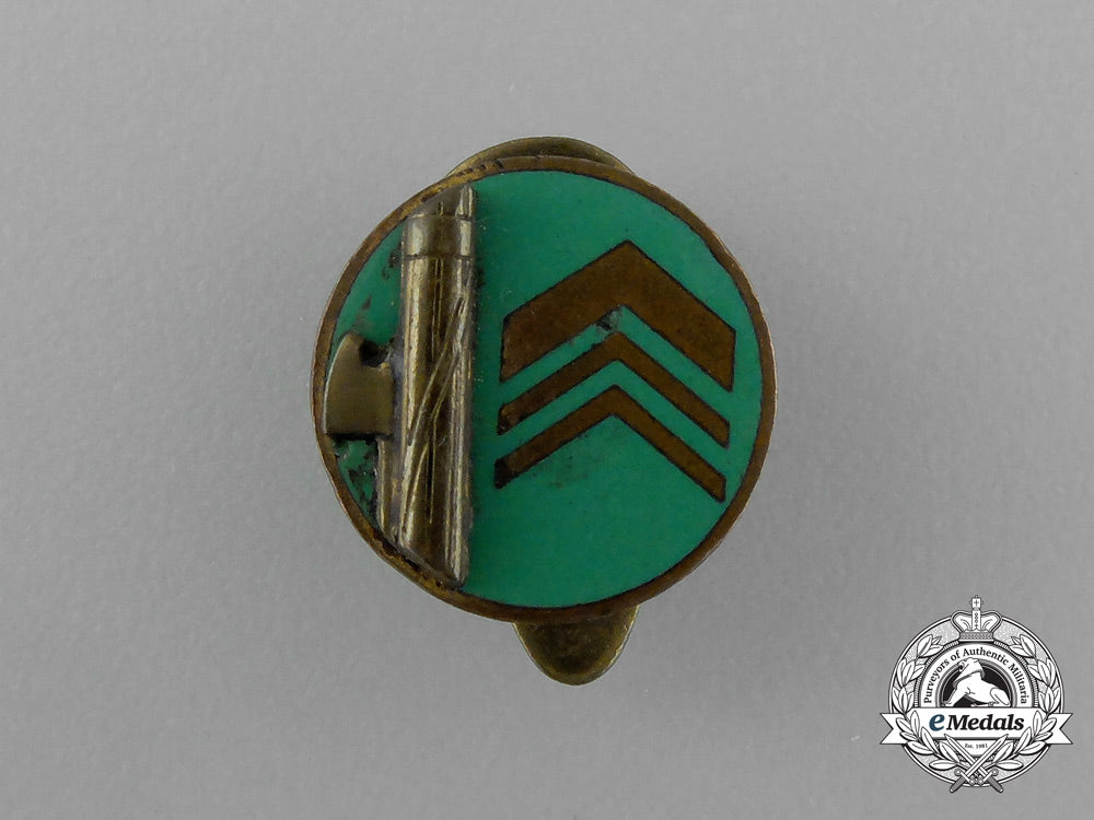 a_second_war_italian_saf_membership_badge_d_9659