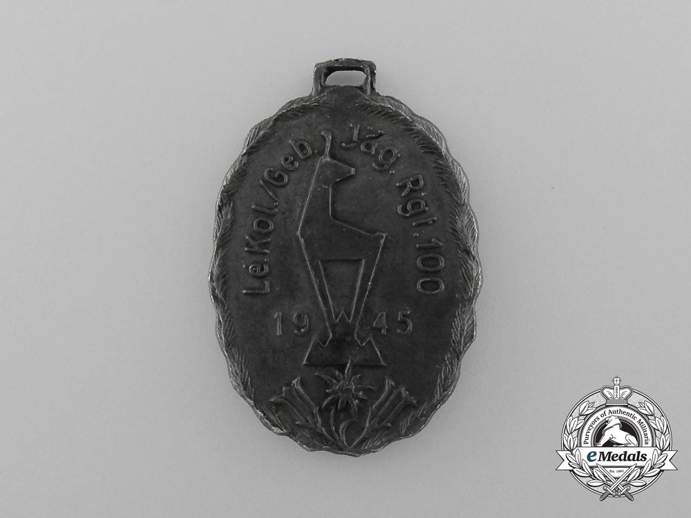 a1945_german_western_alps_gebirgsjäger_regiment100_medal_d_9677