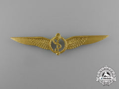 A Royal Netherlands Army Air Flight Surgeon Qualification Badge