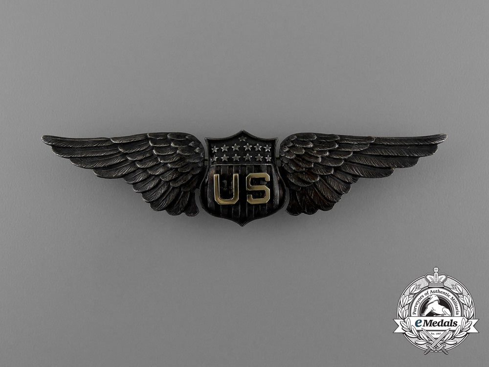a_first_war_american_air_service_pilot_wing;_dallas_type_d_9948_1