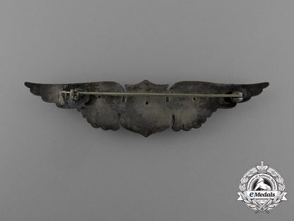 a_first_war_american_air_service_pilot_wing;_dallas_type_d_9949_1