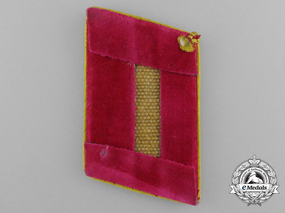 a_reich_level_abschnittsleiter_collar_tab_d_9995